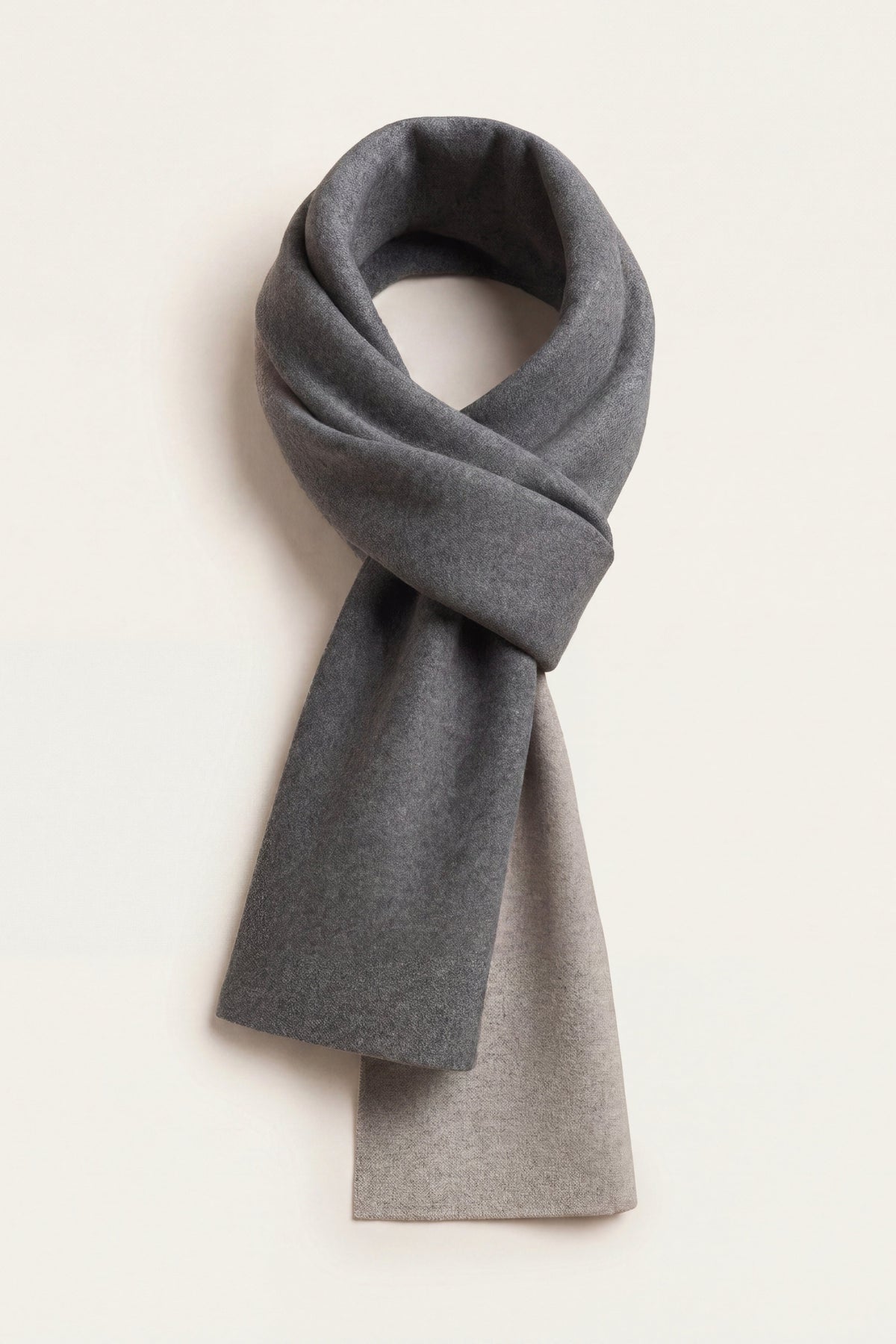 The Alberoni — Charcoal