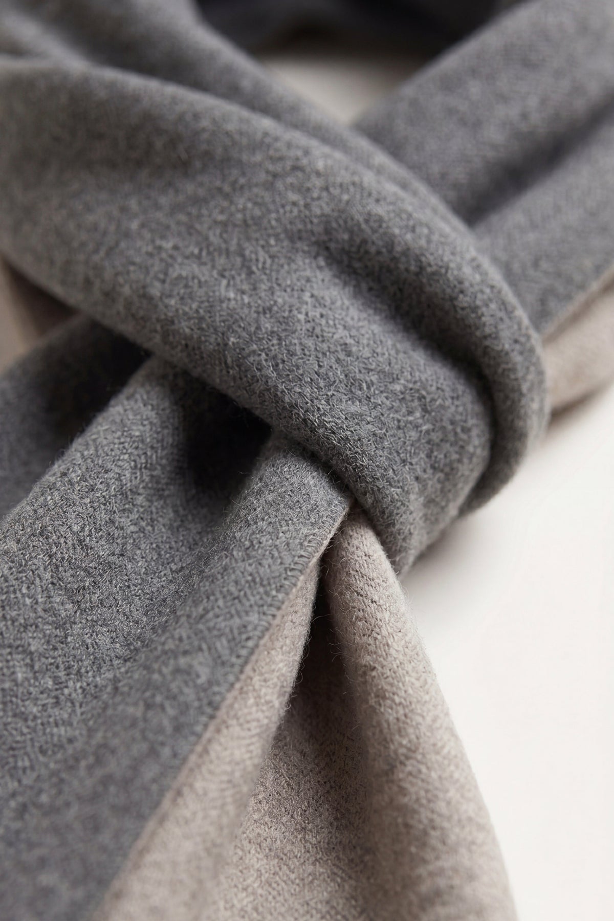 The Alberoni — Charcoal